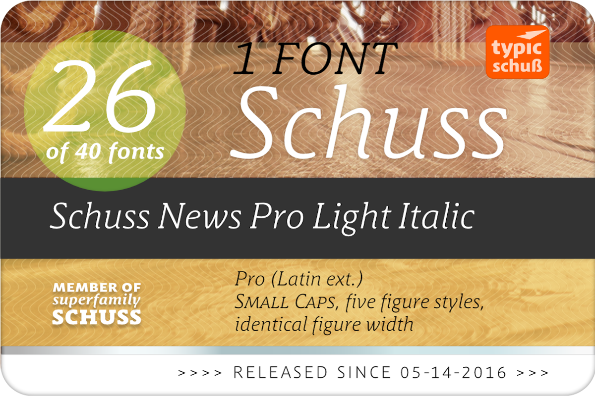 SchussNewsProLightIta No.26 (1 Font), a Serif Font by typic schuss (Photo 2 of 6)