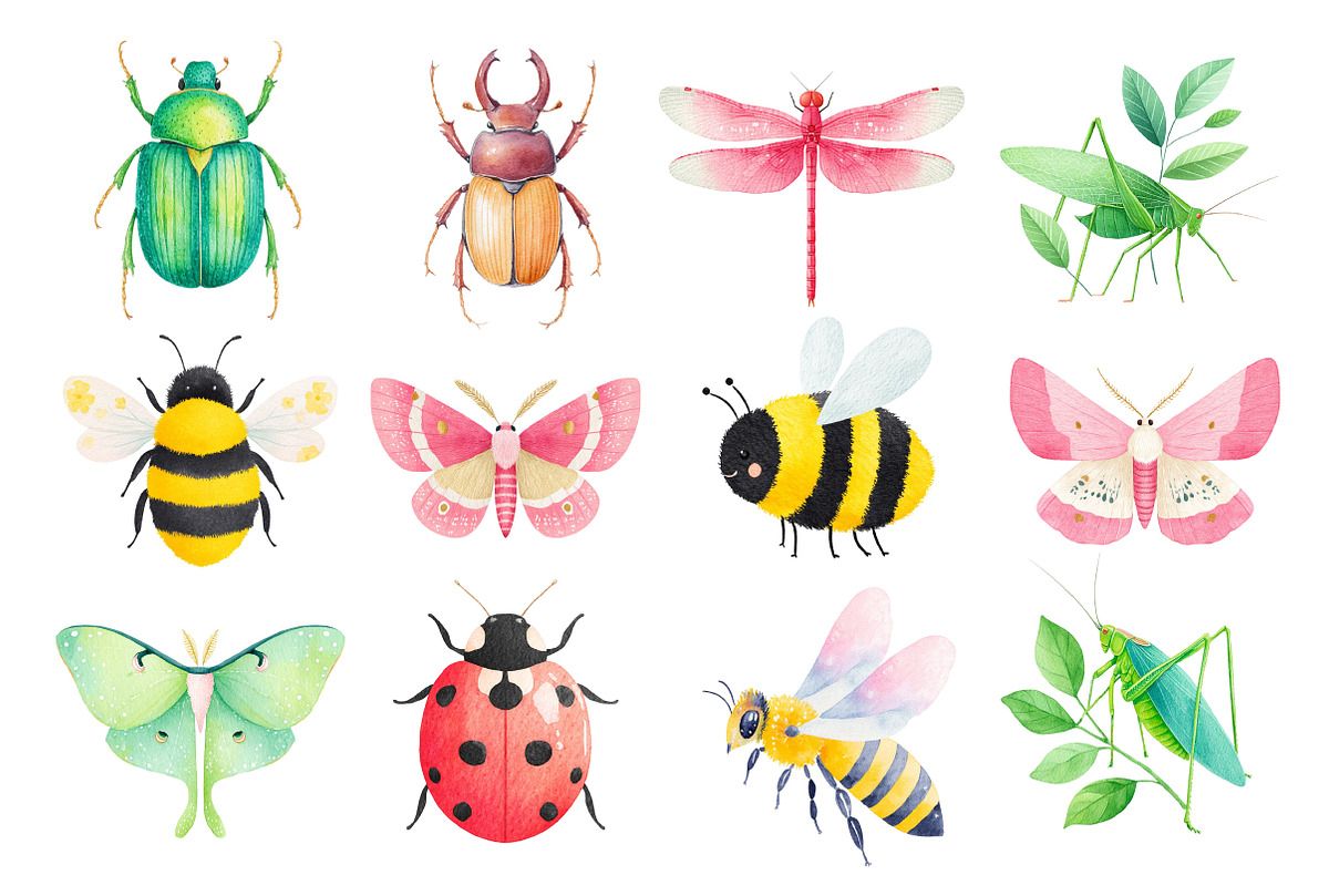 Insects Watercolor Clipart Png, an Illustration by Dream Creation (Photo 3 of 7)
