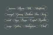Garinstae Script, a Script Font by Pista Mova (Thumbnail 8 of 13)