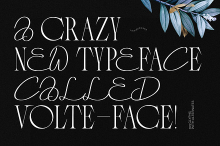 VOLTE-FACE - Serif & Script Font
