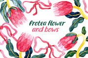 Protea flowers and bows, a Decorative Illustration by made by Tanya (Thumbnail 1 of 4)