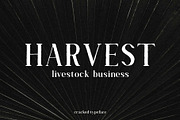 Cracked//A Handlettered Serif, a Serif Font by Kleffont Studio (Thumbnail 5 of 7)