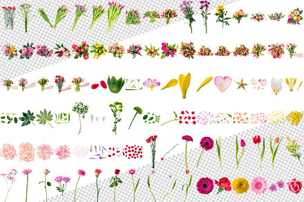 Exquisite Floral Collection