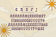 SHEAL THON SLAB Display Font, a Slab Serif Font by Storytype Studio (Thumbnail 13 of 14)