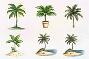 Summer Palm Tree Clipart, an Illustration by CreationArt (Thumbnail 4 of 5)