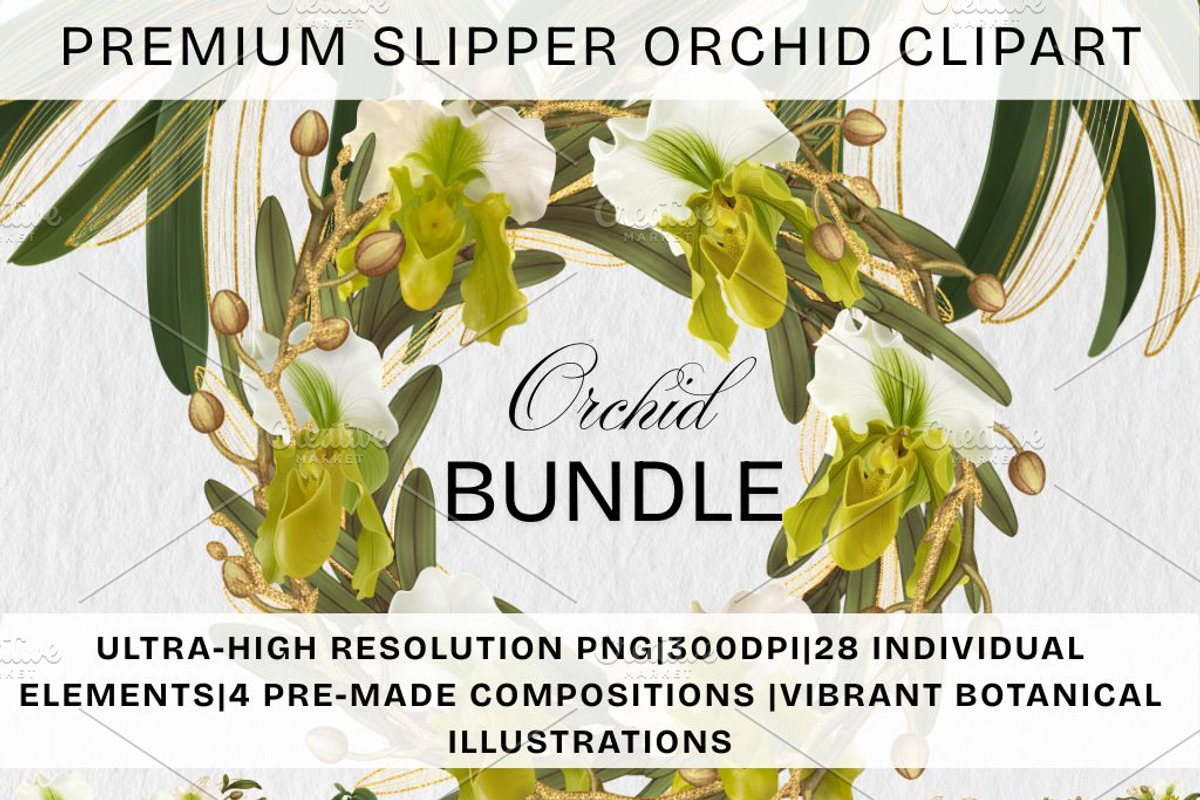 Slipper Orchid Botanical Clipart PNG, a Decorative Illustration by Floraphoria (Photo 1 of 12)