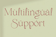 Envegas, a Serif Font by Sealoung (Thumbnail 9 of 16)
