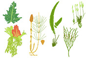 Botanical Line Art Bundle, an Illustration by Graphic Cook (Thumbnail 3 of 8)