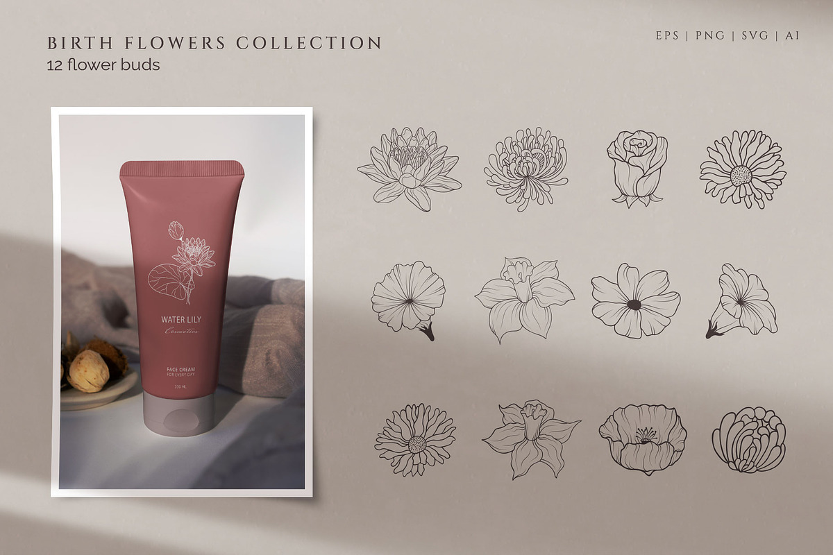 Hand drawn Birth Month Flowers, an Illustration by KirillsWorkshop (Photo 8 of 12)