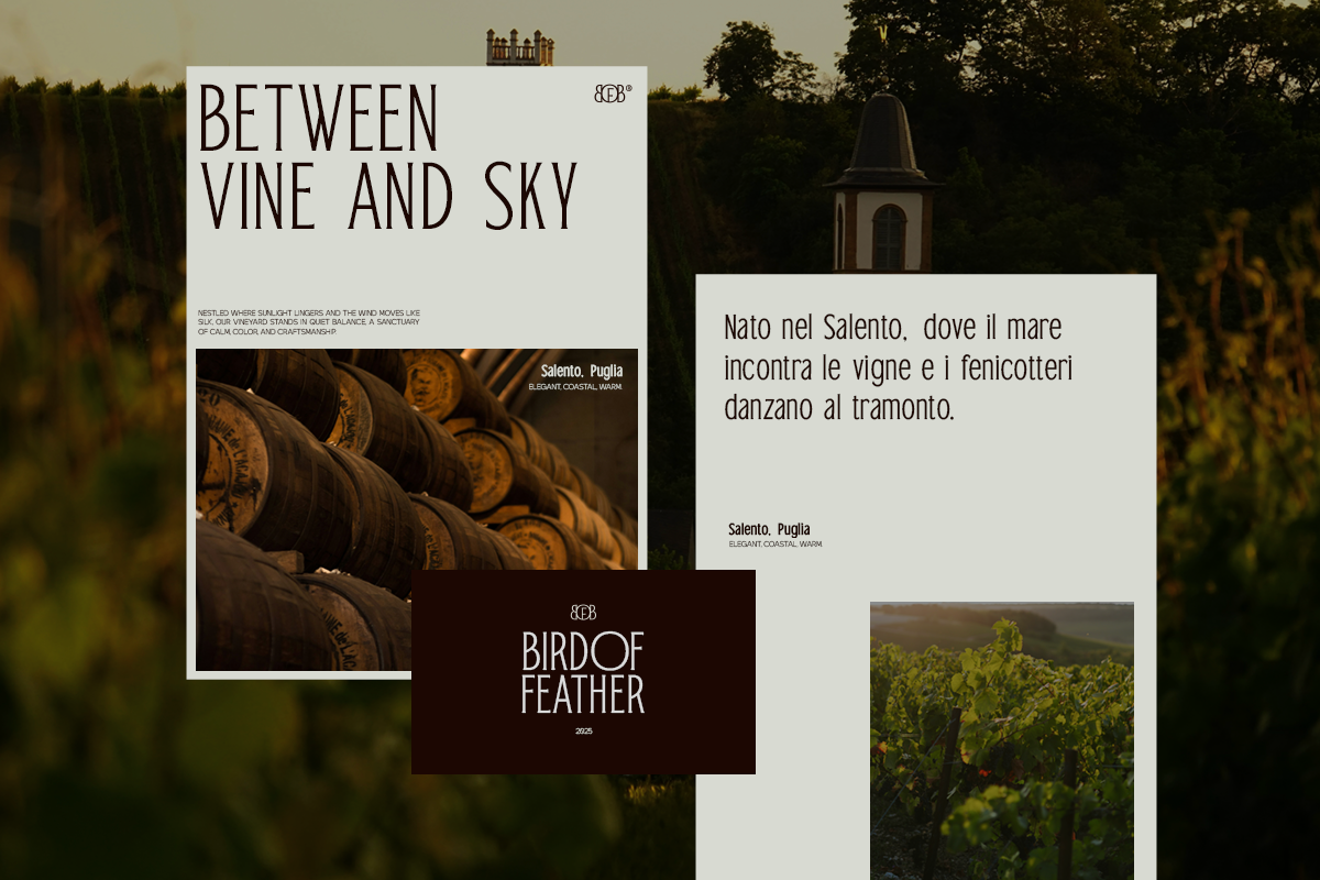 TRT Bird of Feather – Elegant Serif, a Font by truetype (Photo 9 of 15)