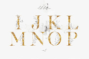 Evergarden Alphabets&Graphics, a Texture Illustration by The Everlasting Story (Thumbnail 22 of 33)
