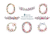 Cosmos Watercolor Floral Clipart, a Decorative Illustration by ForhadGFX (Thumbnail 12 of 15)
