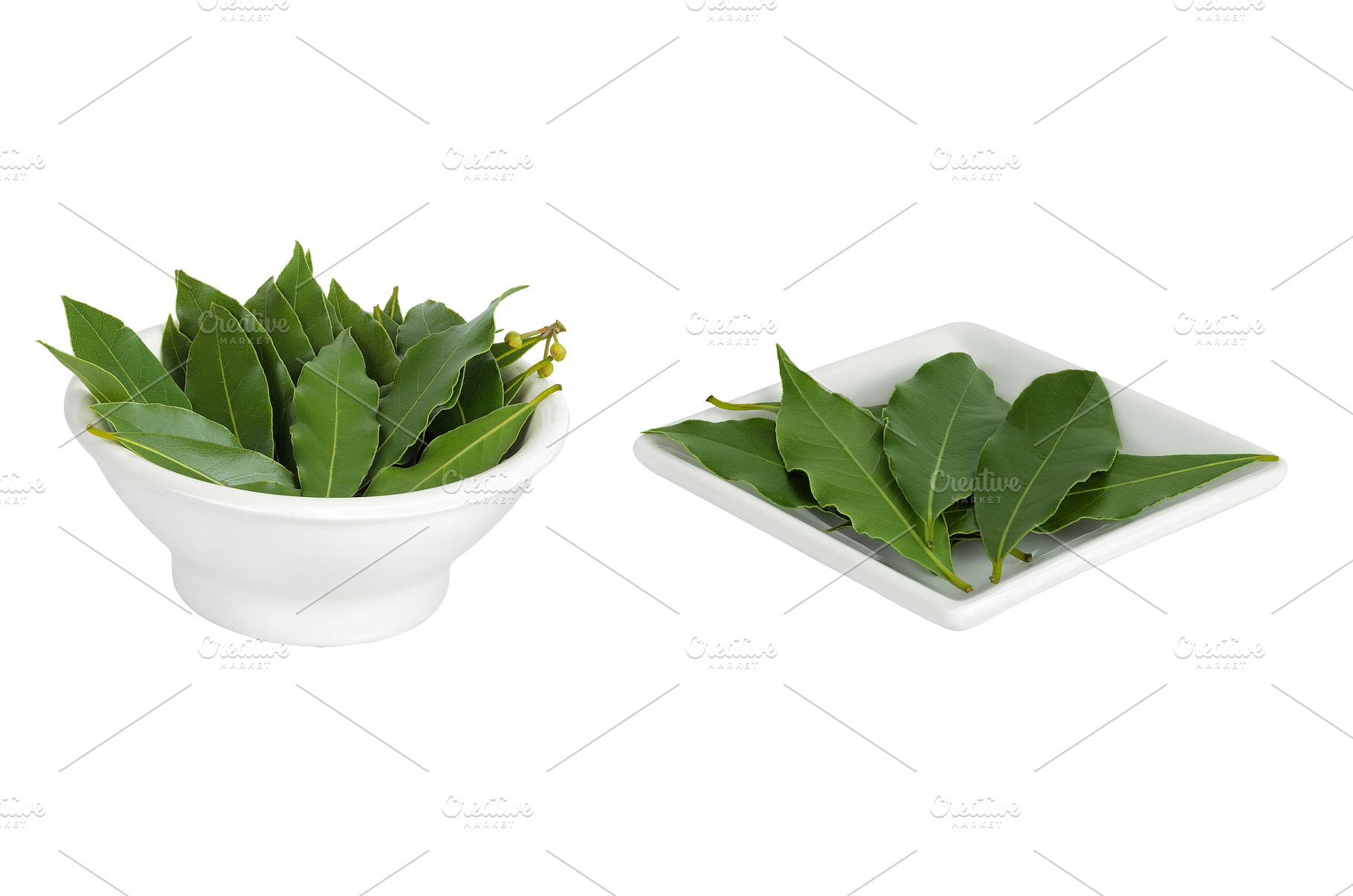 Fresh Laurel leaves in ceramic bowl, a Food & Drink Photo by NataPhoto
