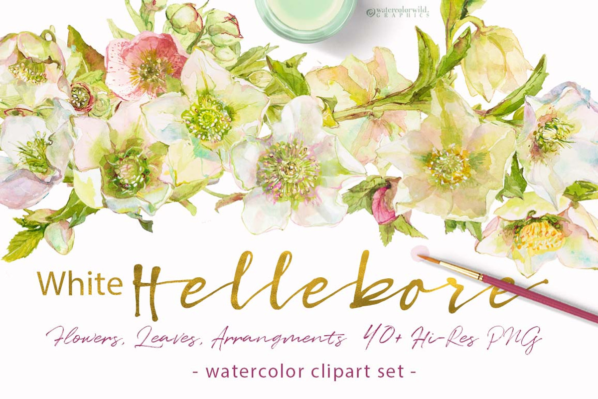 BUNDLE PINK FLOWERS-85%, an Illustration by watercolorwild.graphics (Photo 7 of 11)