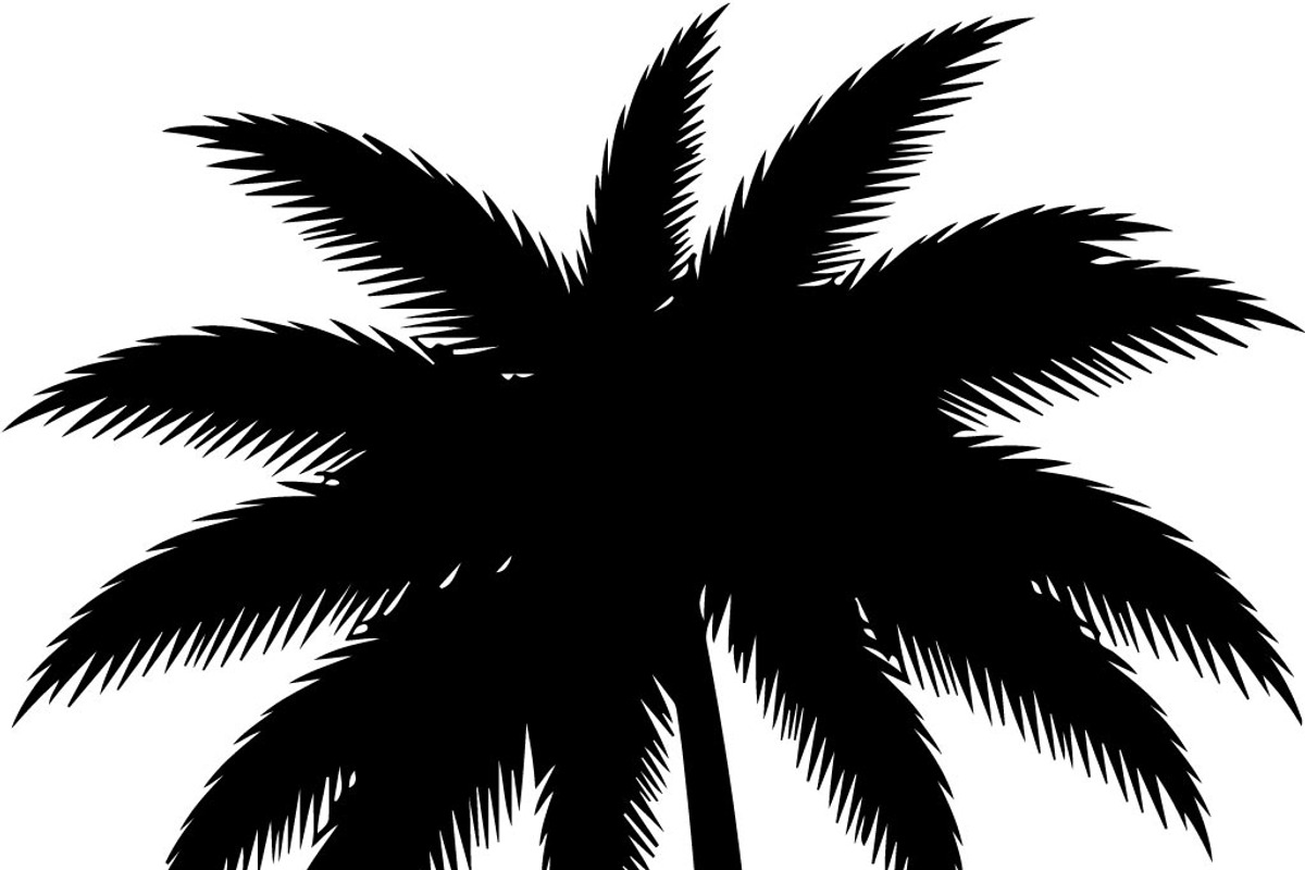 Palm Tree SVG Bundle, an Illustration by Creativeshirt (Photo 7 of 7)