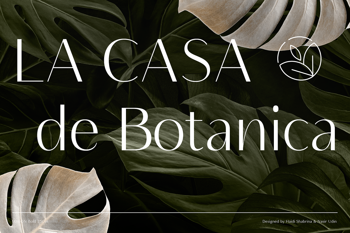 Neue Mylon - 21 Fonts, a Sans Serif Font by Nasir Udin (Photo 14 of 14)