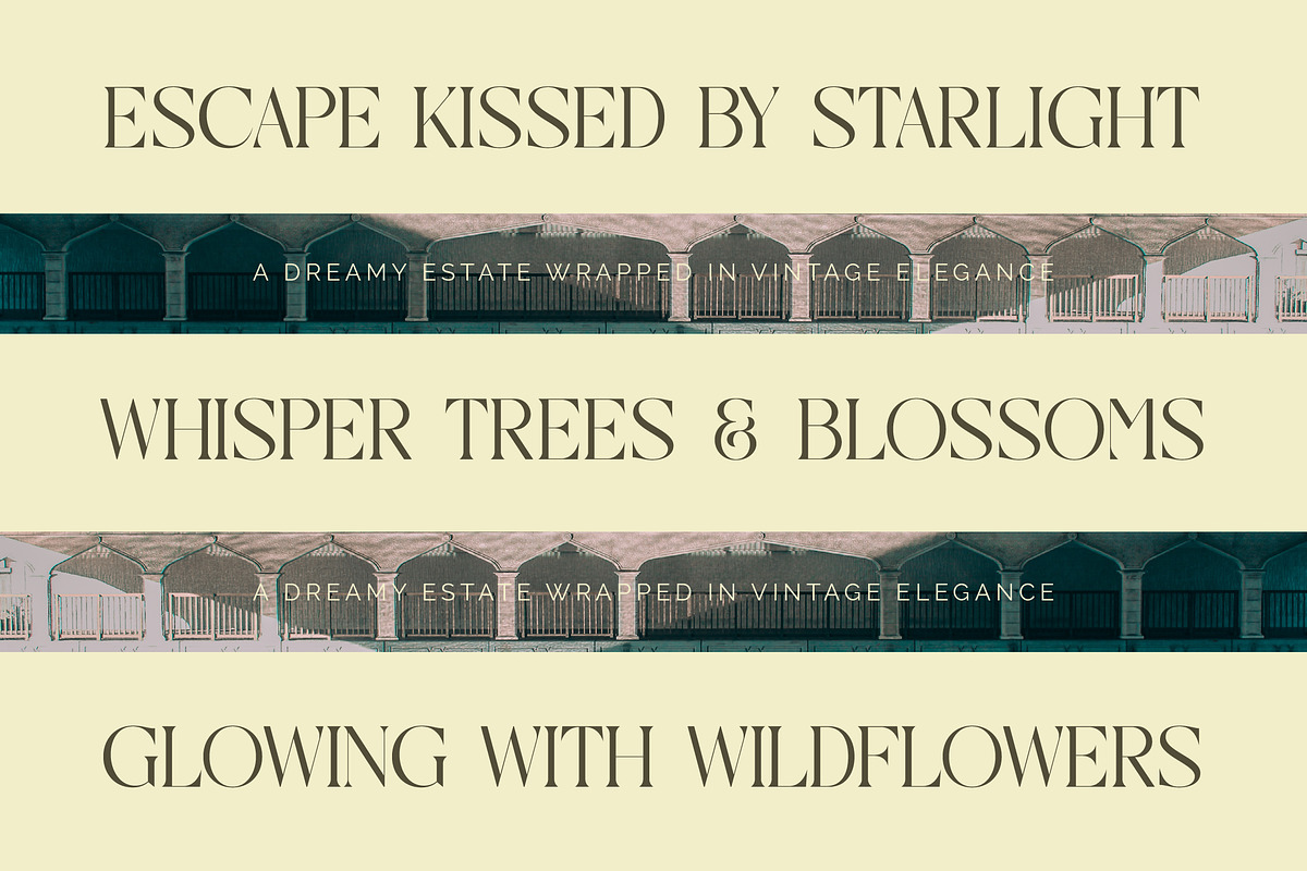 Qaisar Elegant Modern Serif, a Serif Font by timelesstype.co (Photo 15 of 20)