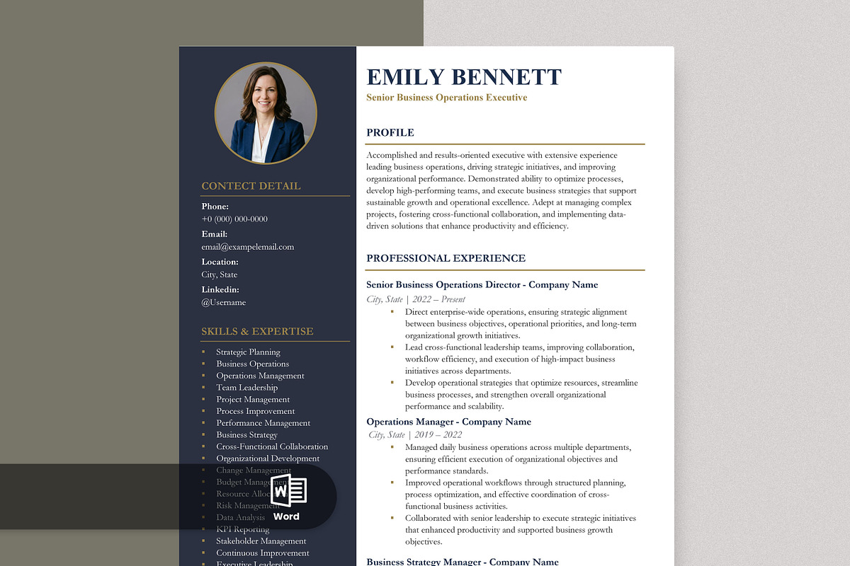 Professional Resume Template, a Resume Template by Anjum Ilyas (Photo 1 of 7)