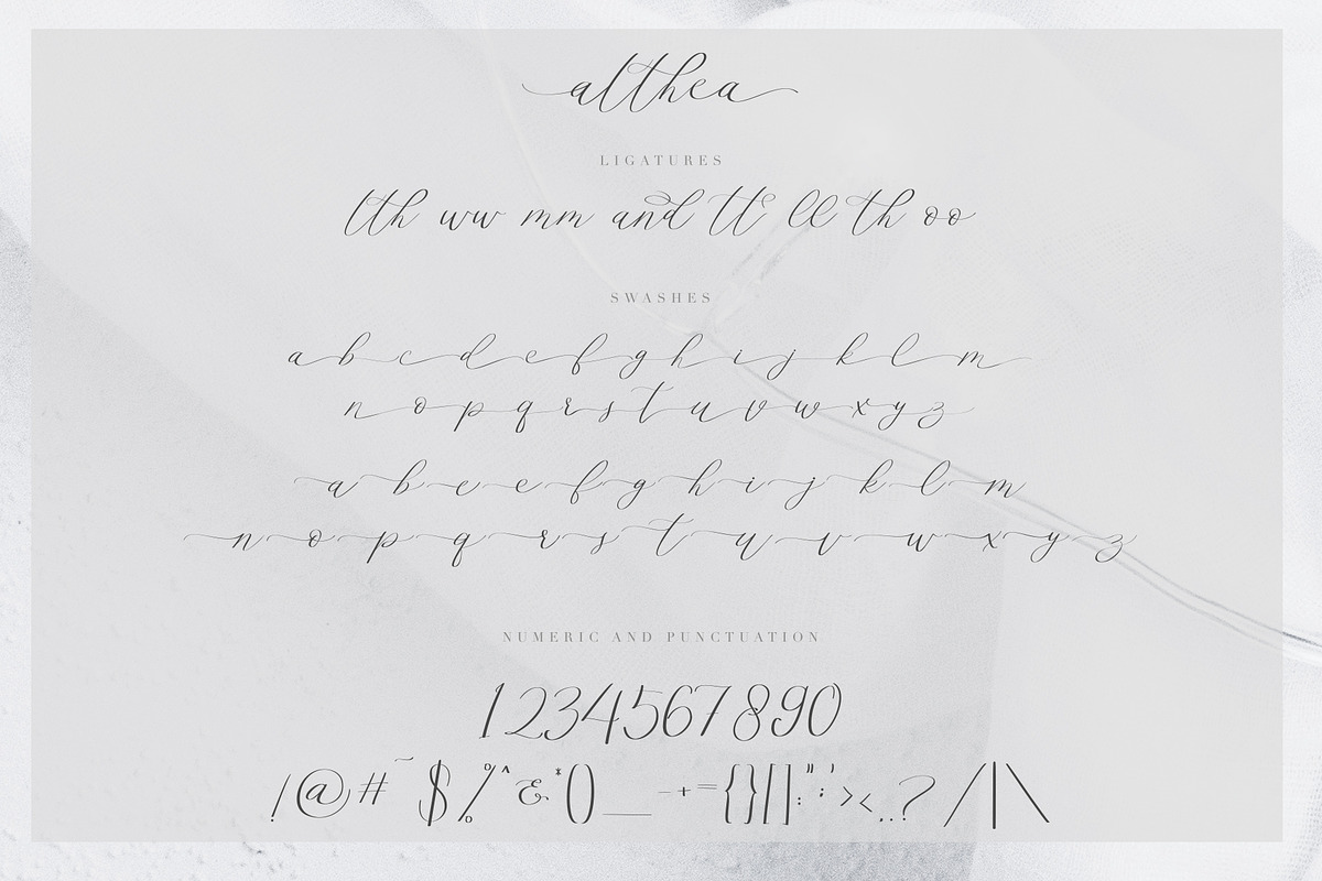 Althea Script, a Script Font by Chocotype Std (Photo 10 of 11)