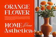 Bedisa || Modern Classy Serif Font, a Serif Font by Ermedia Studio (Thumbnail 6 of 10)