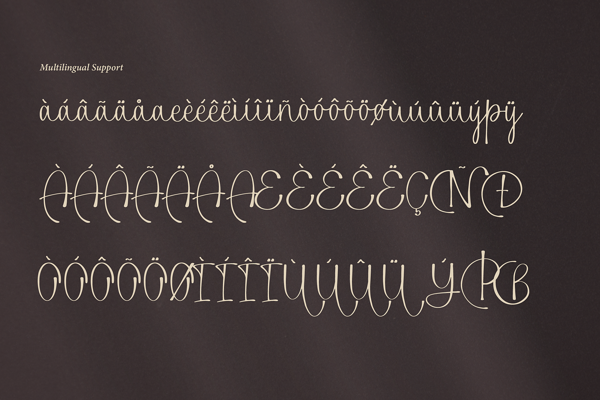 Alphiness | Handwritten Script Font, a Script Font by Denustudios (Photo 14 of 15)