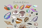 Watercolour Nautical Set, an Animal Illustration by NNclipart (Thumbnail 5 of 13)