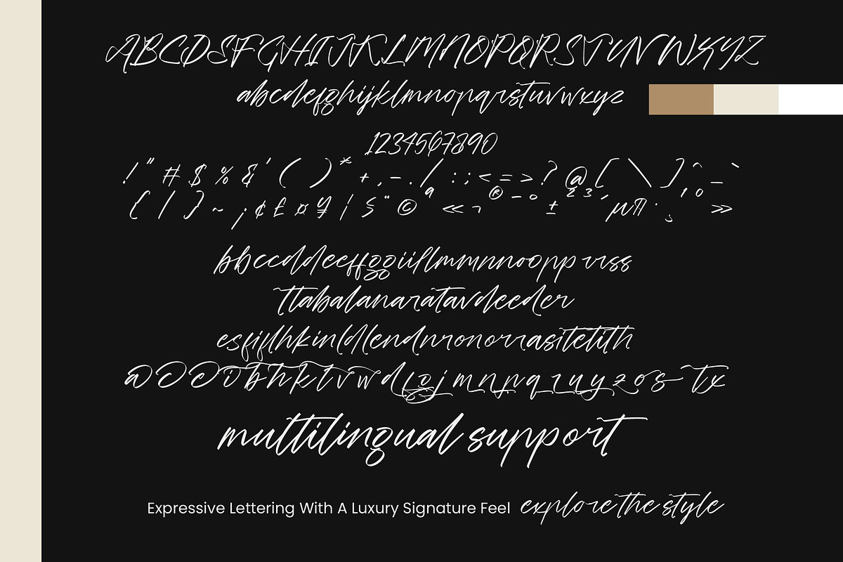 Tirgola, a Script Font by operatype.co (Photo 8 of 8)