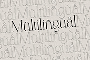 Qareky a Modern & Elegant Serif, a Serif Font by Lettertype Studio (Thumbnail 18 of 20)