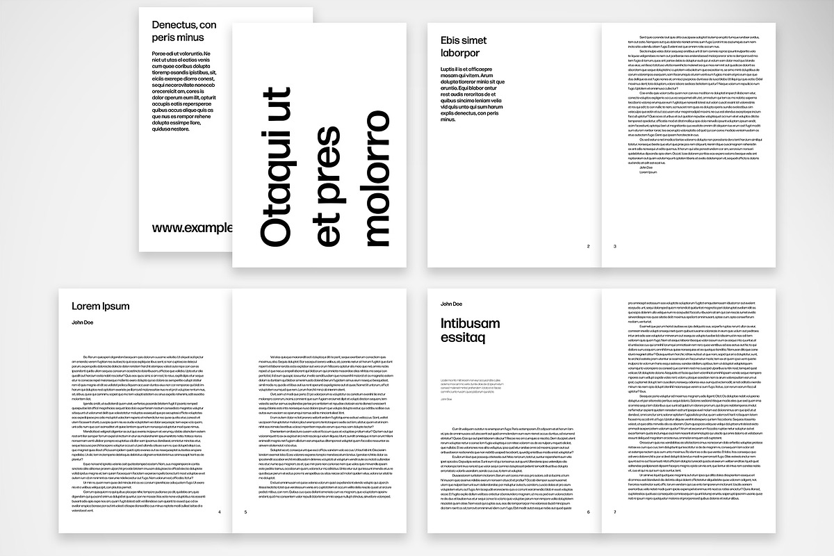 Professional Report Template preview 2