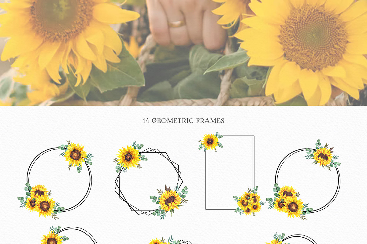 Watercolor Sunflowers Collection, an Illustration by CaraulanStore (Photo 6 of 9)