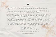 Defalliya | Wedding Calligraphy, a Script Font by Denustudios (Thumbnail 12 of 12)