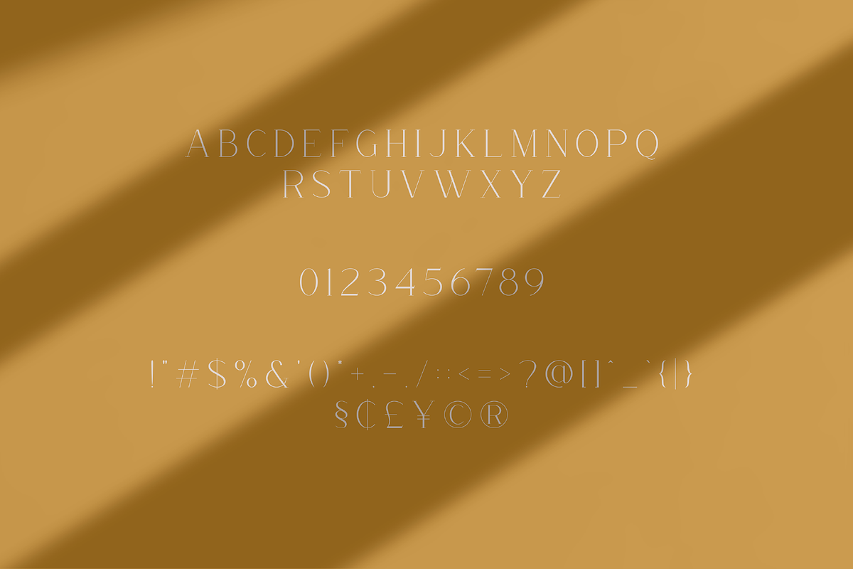 Morena Font Duo, a Serif Font by Pen Culture (Photo 11 of 12)