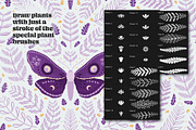 Moth Creator for Procreate, a Brush Add-On by Pencil Twist (Thumbnail 5 of 11)