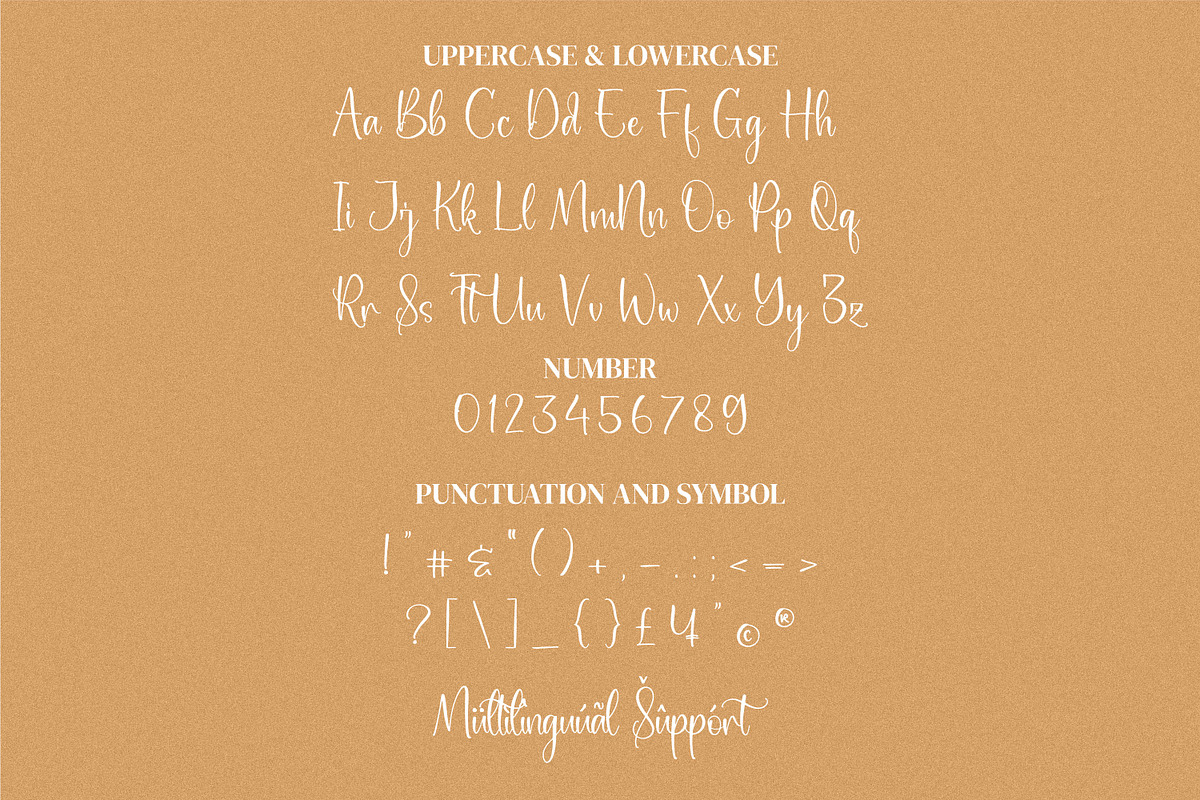 Aichella, a Script Font by Integritype Studio (Photo 8 of 11)