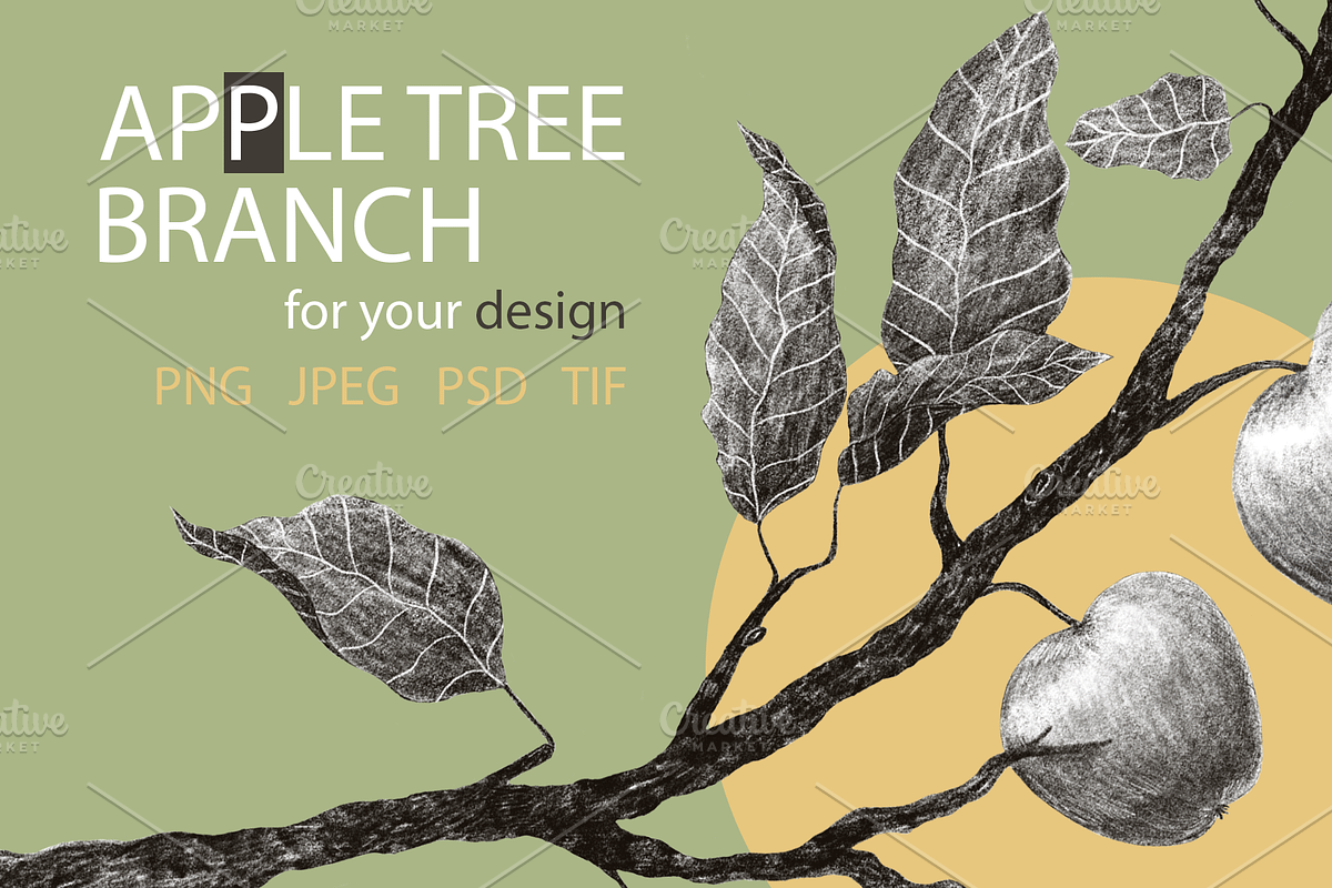 APPLE TREE BRANCH Pencil Drawing, a Background Graphic by Nastya Draws (Photo 1 of 2)