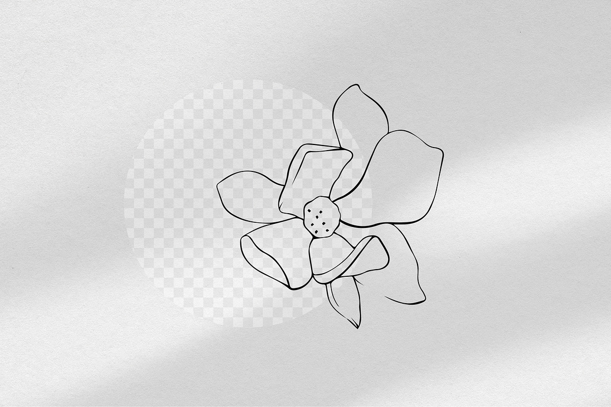 Vector Line Art Flowers Magnolia, a Decorative Illustration by MilanaDesignShop (Photo 3 of 4)