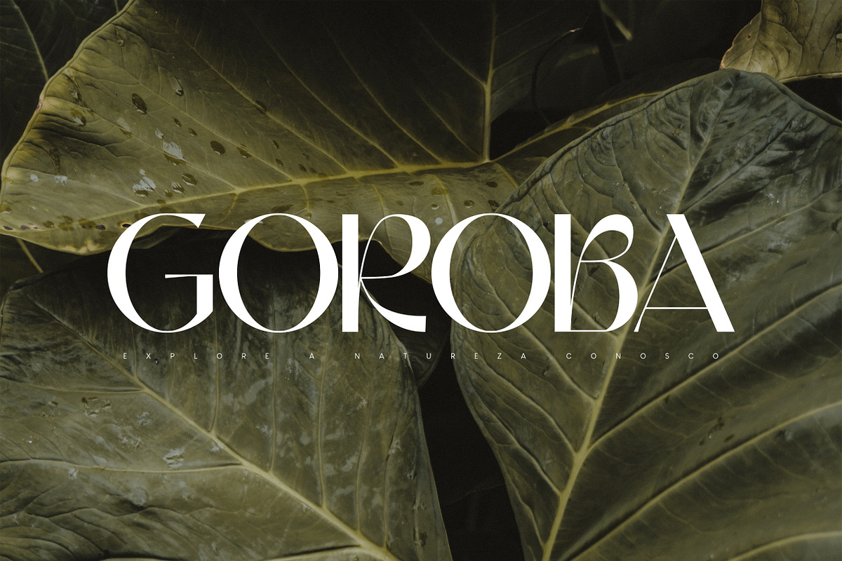 Cerkiymo Elegant Typeface, a Sans Serif Font by Hishand Studio (Photo 9 of 10)