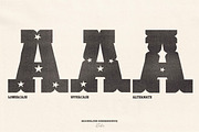 ShowBill Hand Drawn Western Font, a Slab Serif Font by Madeline ODonoghue Design (Thumbnail 3 of 10)