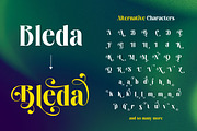 Nathen - Elegant Serif Display Font, a Serif Font by Ekahermawan (Thumbnail 8 of 12)