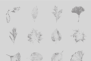 Leaf Tones Vol. 3 | Stippled Leaves, an Illustration by invisiblelayer (Thumbnail 2 of 5)