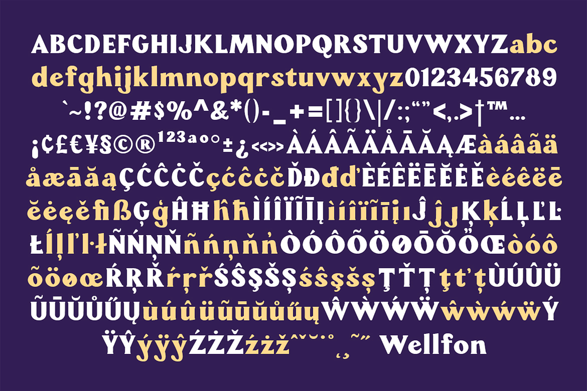 Wellfon - Modern Retro Serif Font, a Serif Font by Pekotype (Photo 4 of 11)