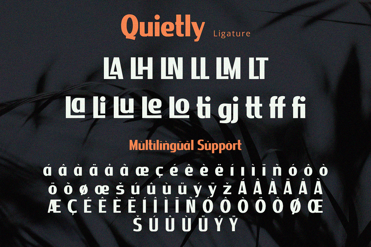 Quietly - Sans Serif Font, a Sans Serif Font by Alpaprana (Photo 9 of 10)
