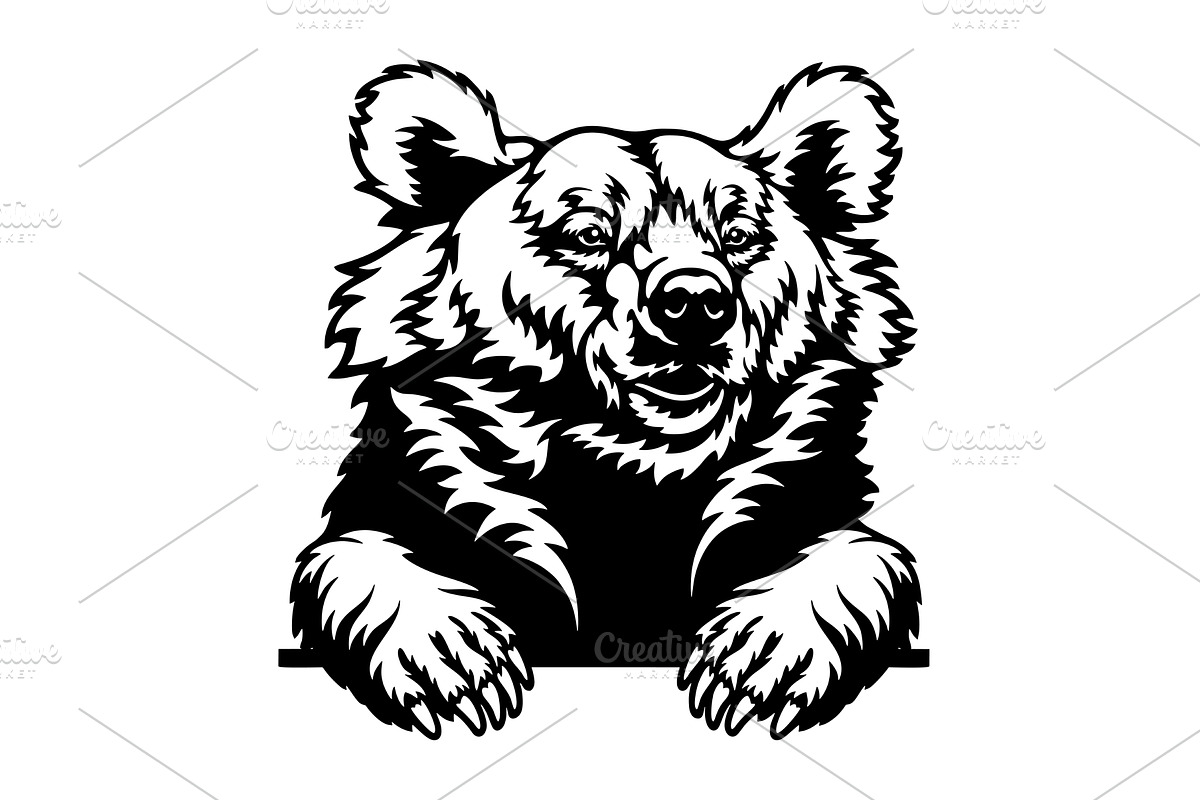Peeking Bear - Funny Wild Animal -, an Animal Illustration by Digital-Clipart