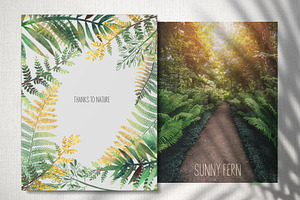 Sunny Fern Collection