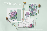PROTEA watercolor flowers clipart, an Illustration by LenArt (Thumbnail 2 of 16)