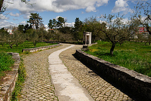 Cobblestone pathway through olive trees in Fatima, Portugal under a cloudy sky, a Photo by AS photostudio
