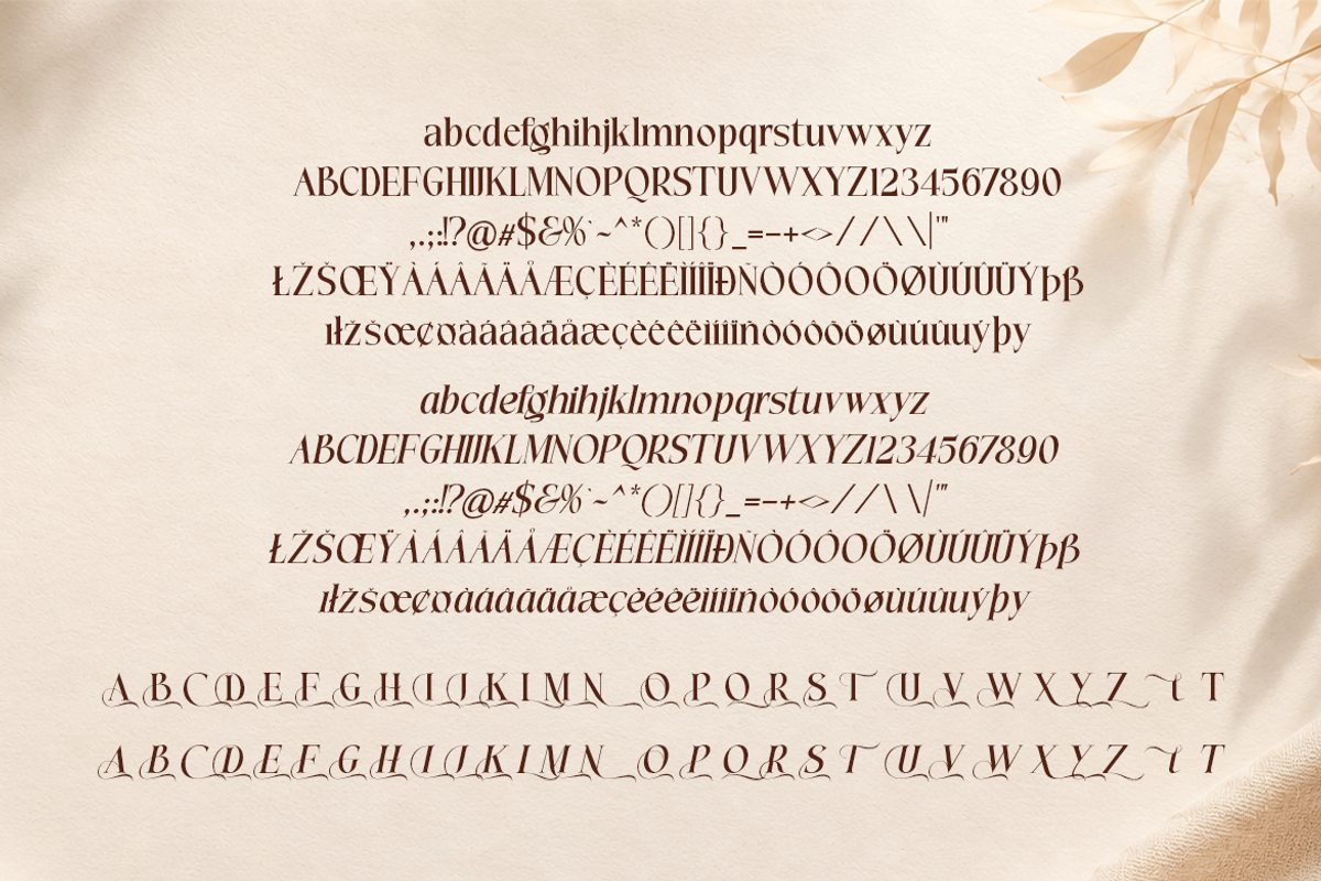 Arvelis Serif Font Family, a Serif Font by artisans (Photo 5 of 7)