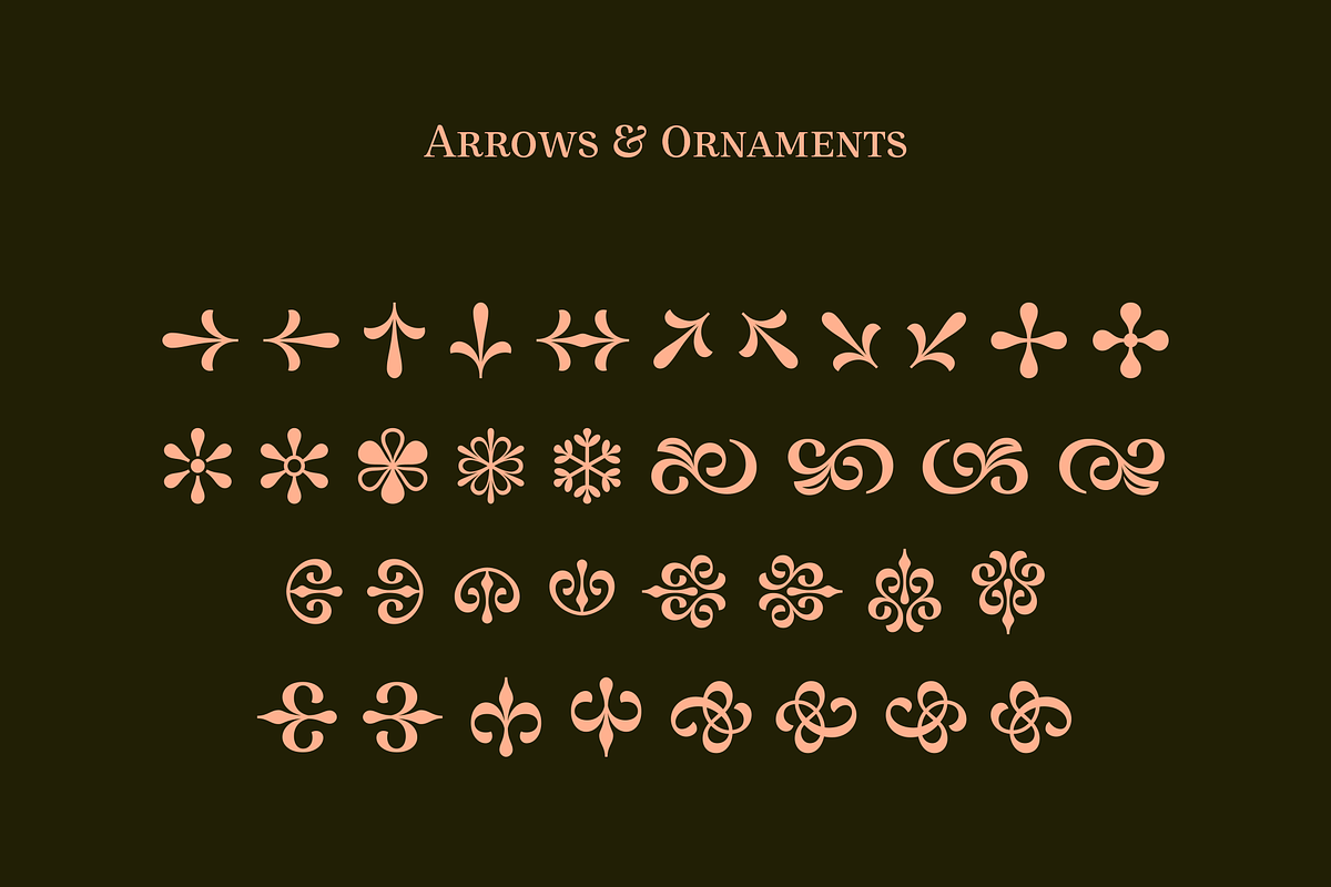 Allust Italic Font, a Serif Font by Halfmoon Type (Photo 11 of 11)