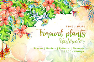 Tropical Plant PNG Watercolor Set