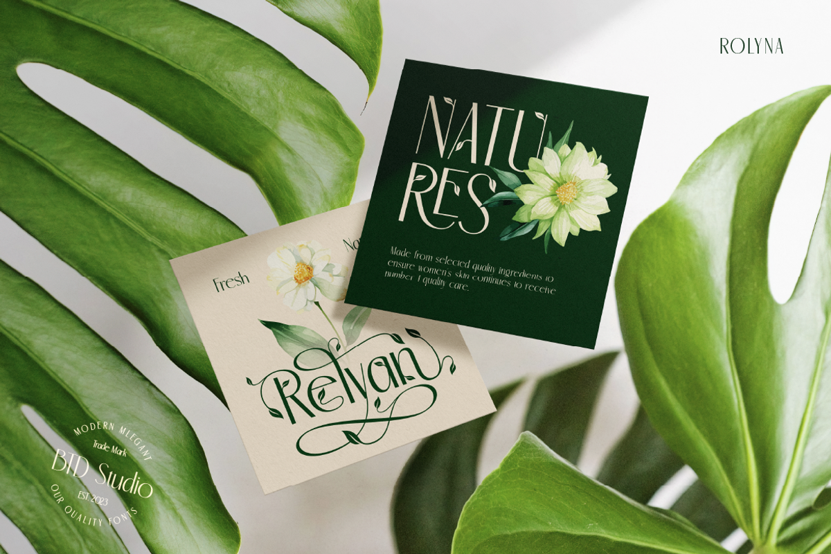 Rolyna, a Sans Serif Font by Burntilldead (Photo 9 of 12)